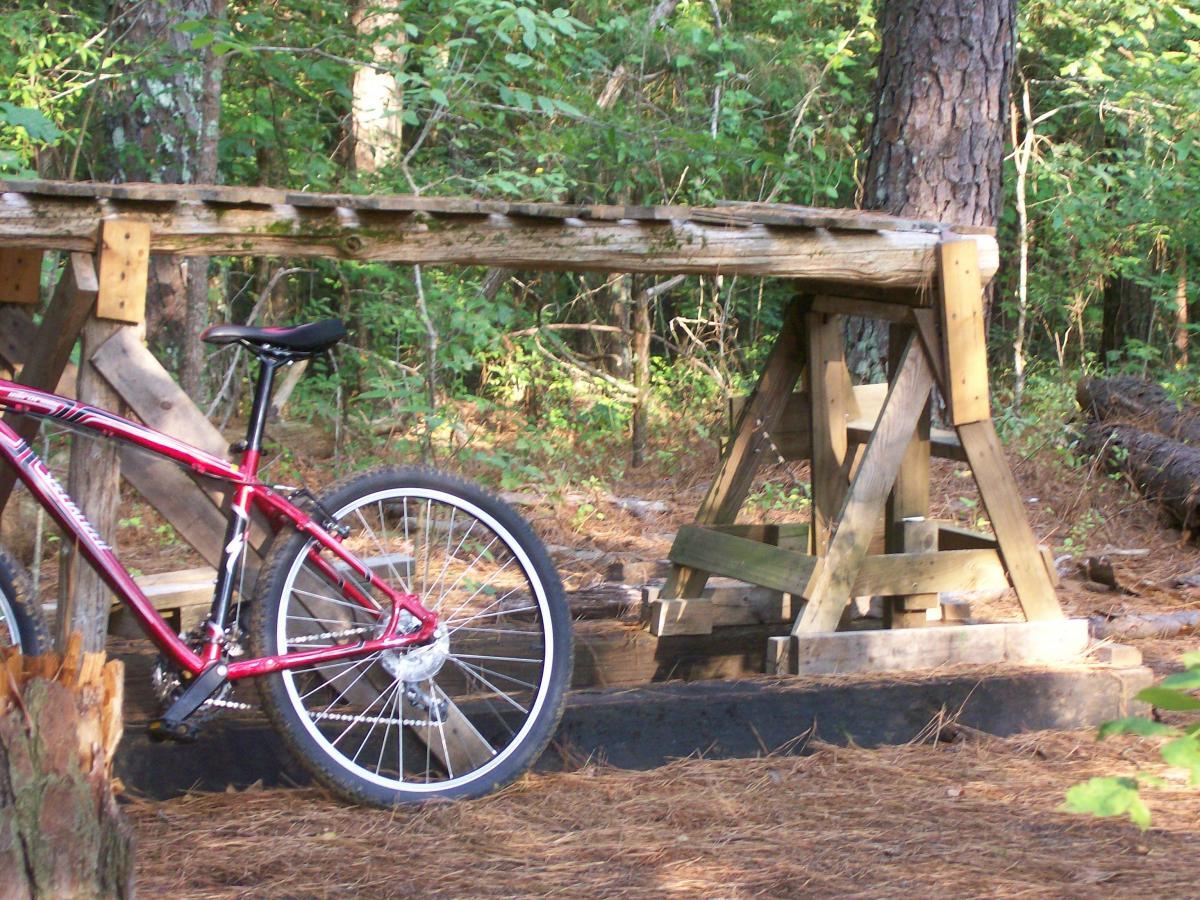 A red mountain bike parked beside a wooden ramp structure in a forested area, surrounded by green foliage and pine needles. Research and Technology Park (ERC) mountain bike trail.