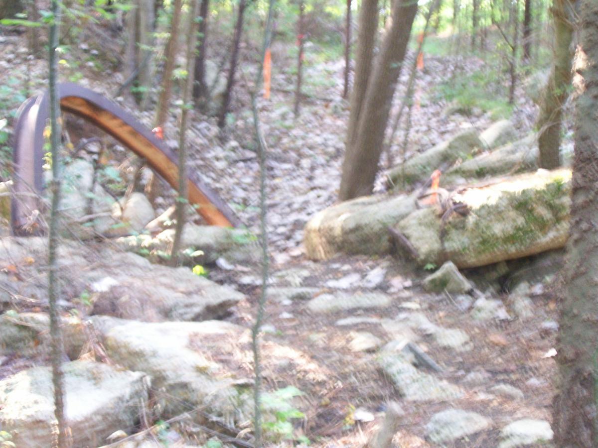 A wooded area with scattered rocks and a partially visible metal structure among the trees. The scene has overgrown vegetation and indications of a pathway through the underbrush. Research and Technology Park (ERC) mountain bike trail.