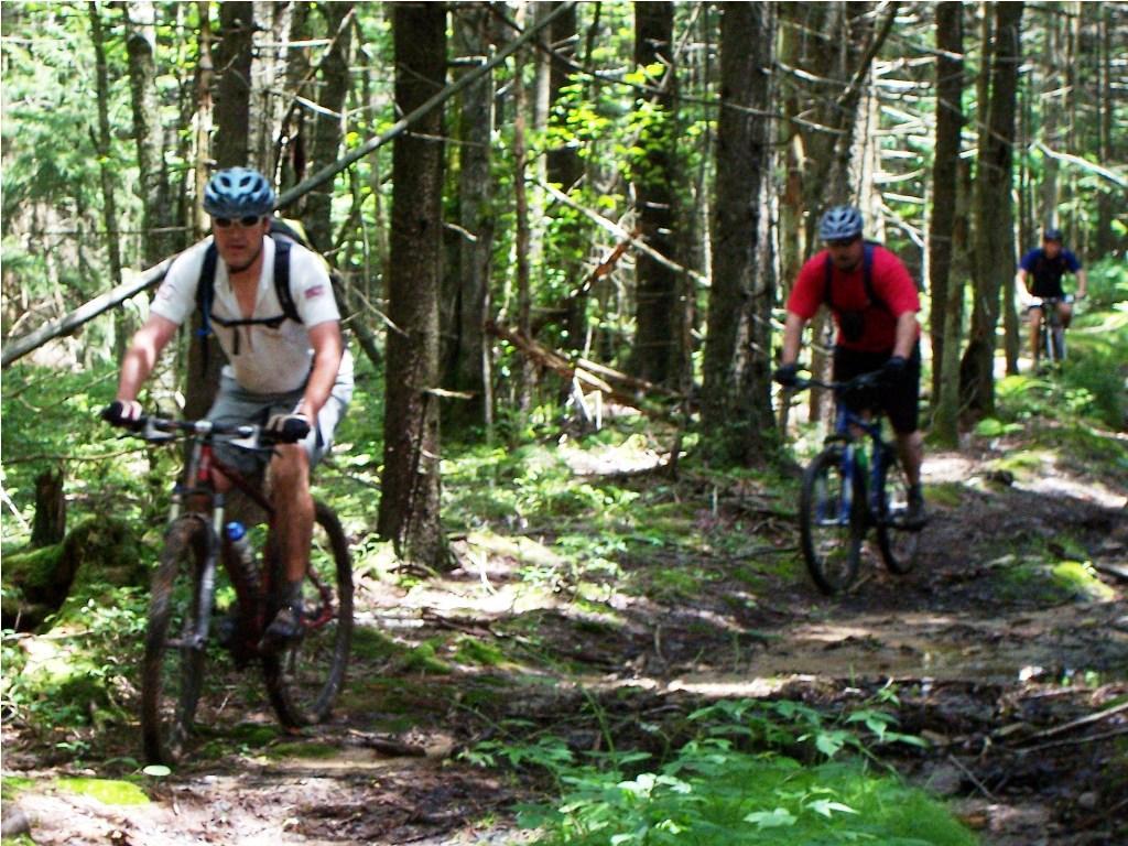 Alt tag: "Mountain bikers riding on a narrow trail through a lush forest with trees and greenery on either side." Bear Pen (modified) Loop mountain bike trail.