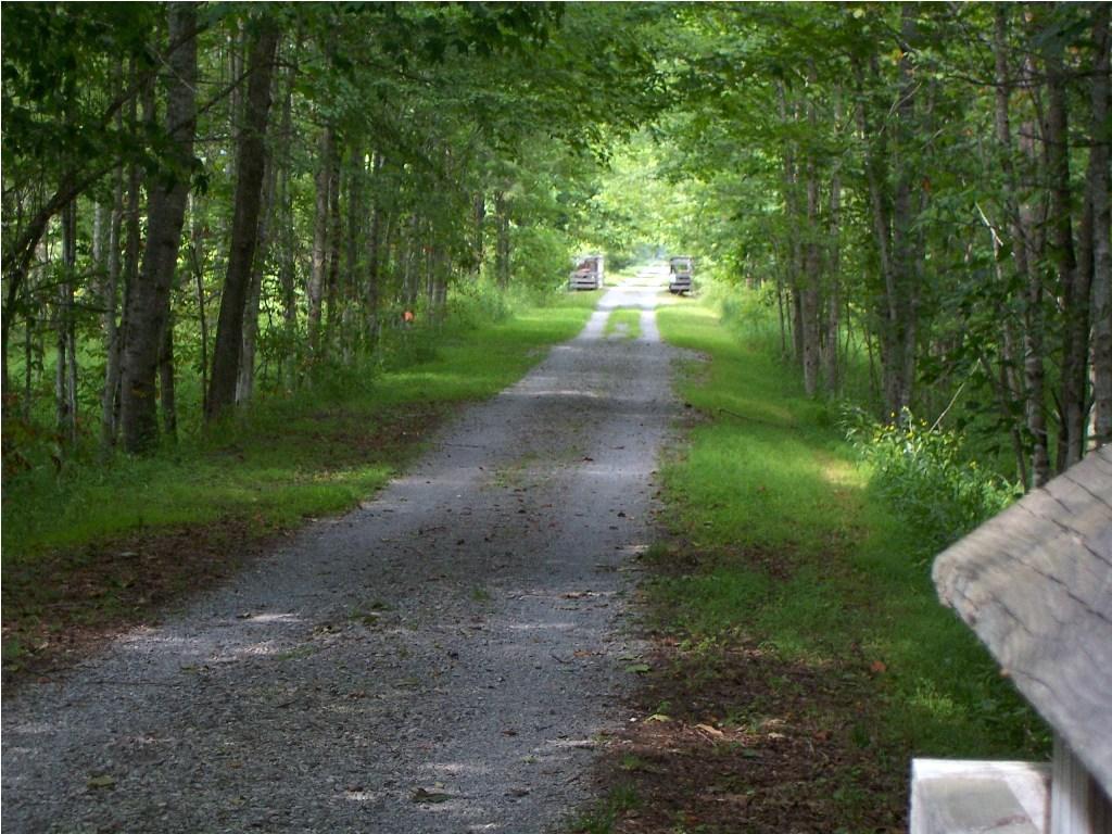 A tree-lined gravel path winding through a lush green landscape, flanked by trees on either side. The path leads into the distance, creating a serene and inviting atmosphere. Greenbrier River Trail mountain bike trail.