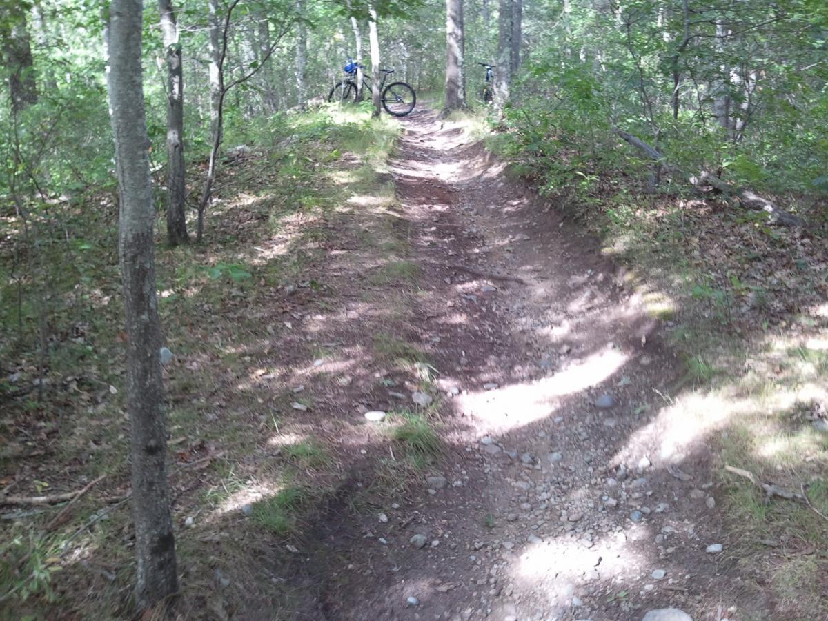 A narrow dirt trail winding through a forest, surrounded by trees and foliage. A mountain bike is leaning against a tree on the left side of the path. The trail has a mix of dirt, loose stones, and patches of grass. Sunlight filters through the leaves, creating dappled light on the ground. Cutler Park mountain bike trail.