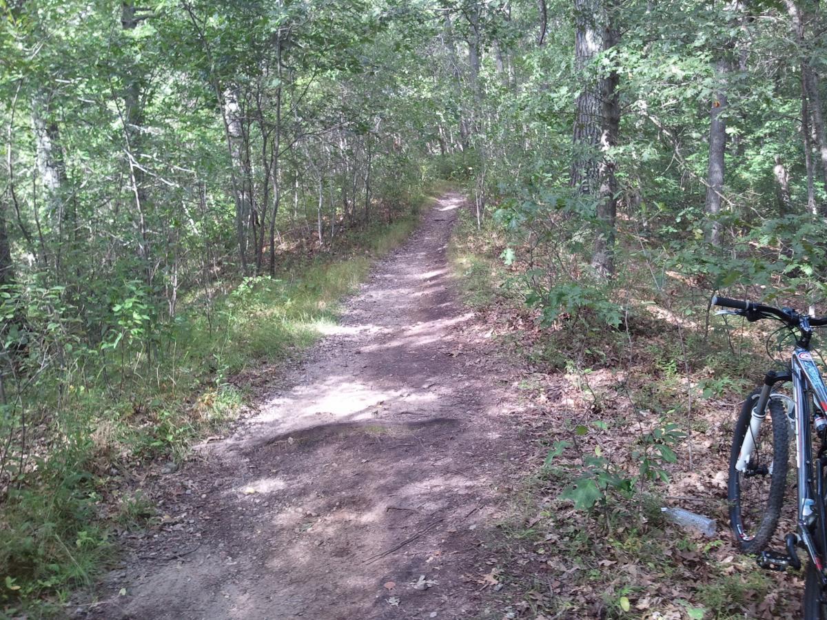 A dirt path winding through a lush forest with trees and green vegetation on either side. A bicycle rests on the right side of the image, indicating a spot for outdoor activities like biking or hiking. Cutler Park mountain bike trail.