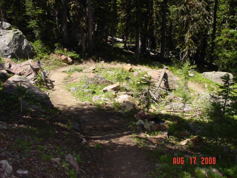 A winding dirt trail surrounded by tall trees and rocky terrain, with patches of grass and scattered boulders along the path. A bicycle is leaning against a large rock on the left side of the image. The scene is bright and sunny, suggesting a warm outdoor environment. Switchback mountain bike trail.