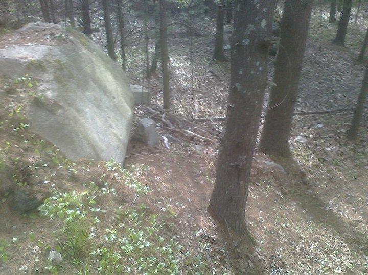 A rocky area in a dense forest, featuring a large boulder to the left, surrounded by trees and scattered vegetation on the ground, with patches of fallen leaves and pine needles. Wompatuck State Park mountain bike trail.