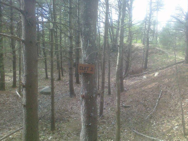 A forest scene featuring tall trees with a wooden sign attached to one of the trunks, labeled "CLIF 2." The ground is covered with dry leaves and small branches, and there is a rocky outcrop visible in the background. The atmosphere is calm and natural, with filtered sunlight peeking through the branches. Wompatuck State Park mountain bike trail.