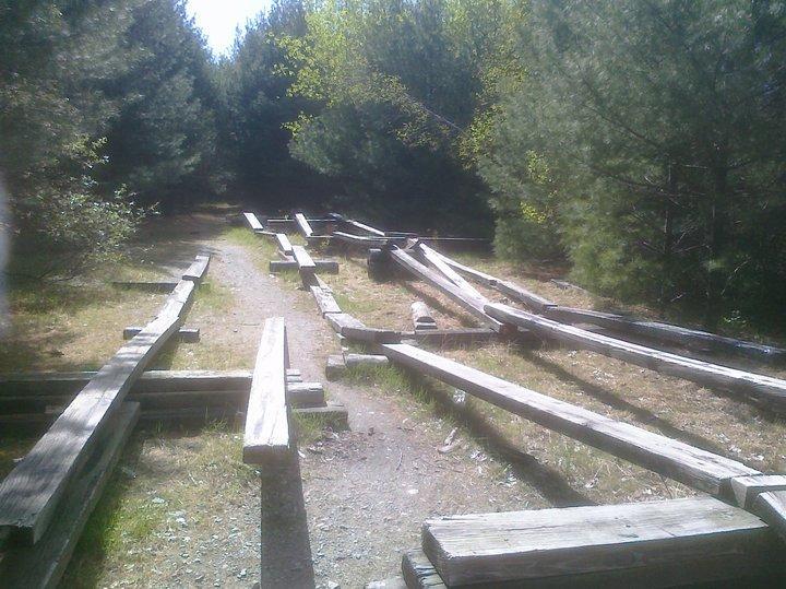 A narrow dirt path surrounded by green pine trees, featuring scattered wooden beams along the sides, suggesting remnants of an old structure or trail. Sunlight filters through the trees, casting a warm glow on the scene. Wompatuck State Park mountain bike trail.