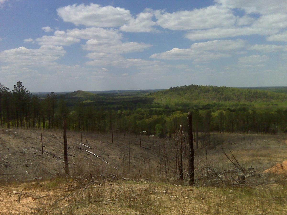 A scenic landscape view showing rolling hills and lush green forests under a partly cloudy sky. In the foreground, there is a barren area with stumps and dried vegetation, contrasting with the vibrant greenery in the distance. The background features additional hills and a vast expanse of trees, creating a peaceful natural setting. Camp Thunder mountain bike trail.