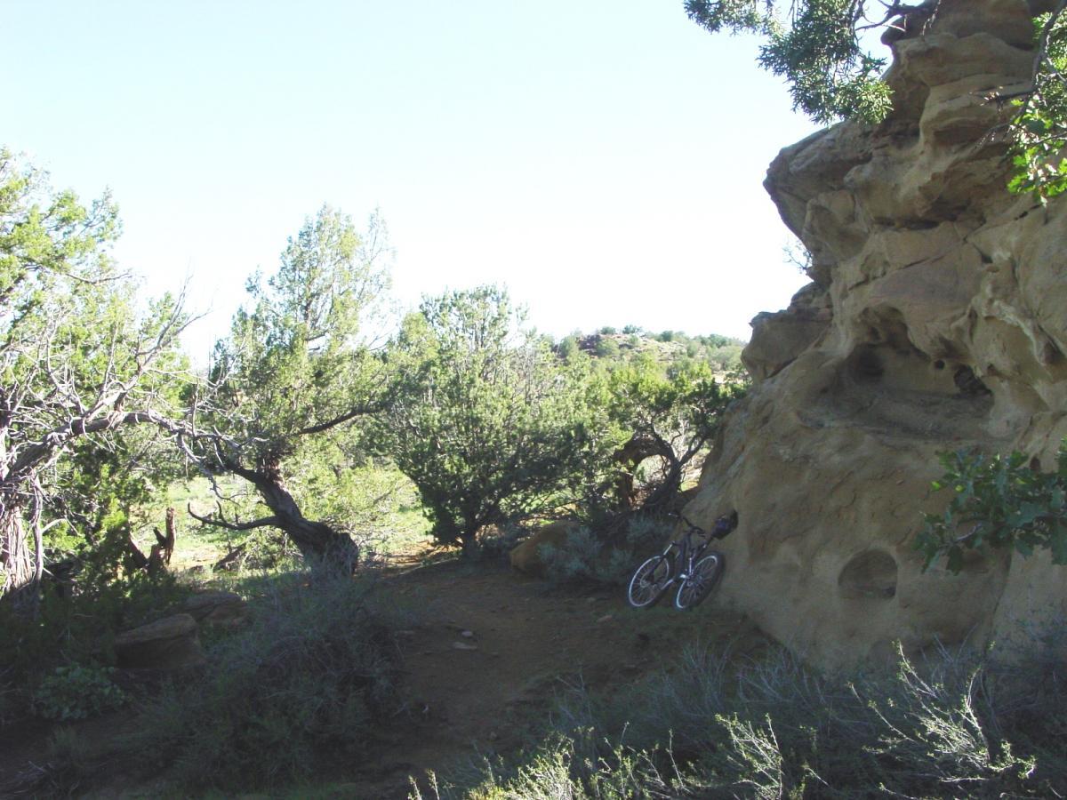 A mountain bike resting against a rock formation, surrounded by greenery and shrubs in a natural landscape. Sunlight filters through the trees, creating a peaceful outdoor setting. High Desert Trail System mountain bike trail.
