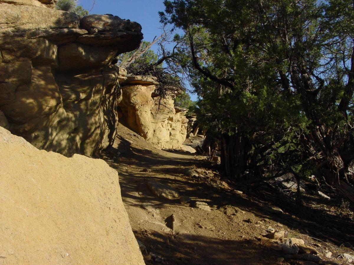 A sunlit dirt path winding through a rocky landscape, lined with rugged stone formations and scattered trees, under a clear blue sky. Phil's World mountain bike trail.