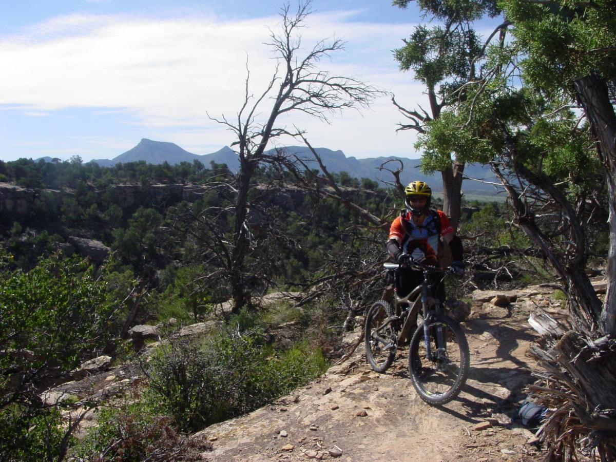 A mountain biker wearing a helmet and an orange, patterned jersey stands next to a bike on a narrow trail surrounded by trees and rocky terrain. In the background, mountains are visible under a clear blue sky. Phil's World mountain bike trail.