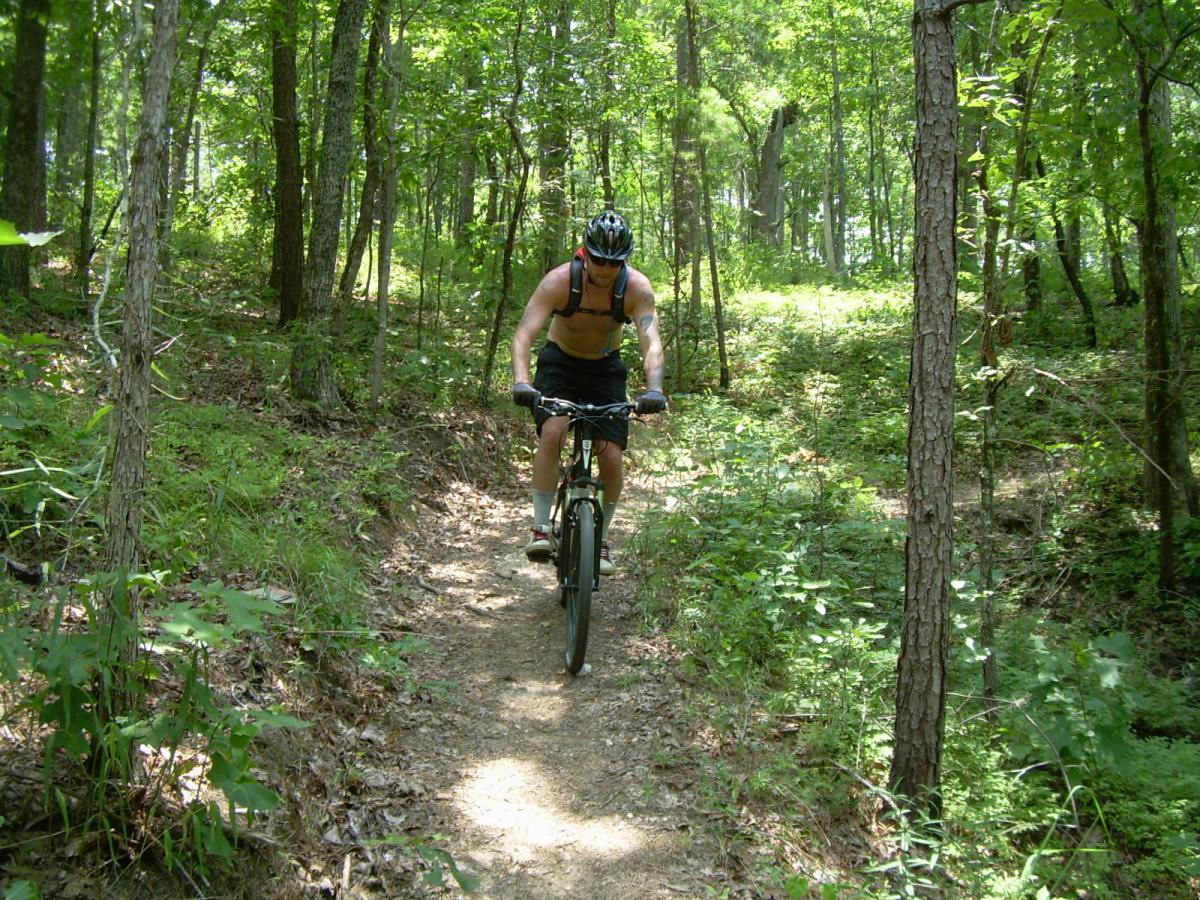 A person riding a mountain bike on a narrow dirt trail surrounded by lush greenery and trees. The cyclist is wearing a helmet and athletic clothing, navigating through the natural landscape on a sunny day. Sylaward mountain bike trail.