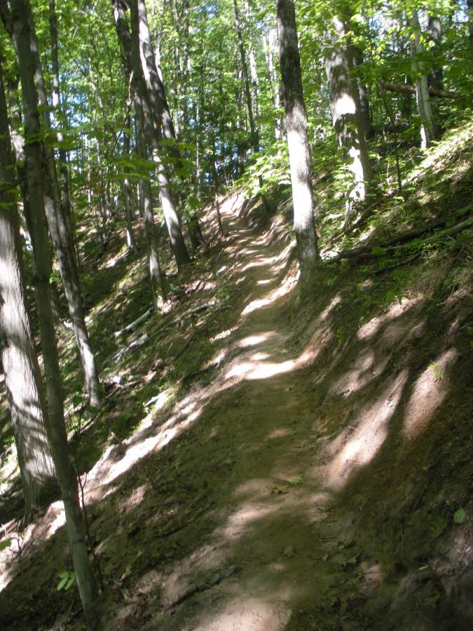 A winding dirt path through a lush green forest, flanked by tall trees and dappled sunlight filtering through the leaves. The trail is slightly elevated and surrounded by a natural landscape, inviting exploration. Noquemanon Trails Network: South Marquette Trails mountain bike trail.