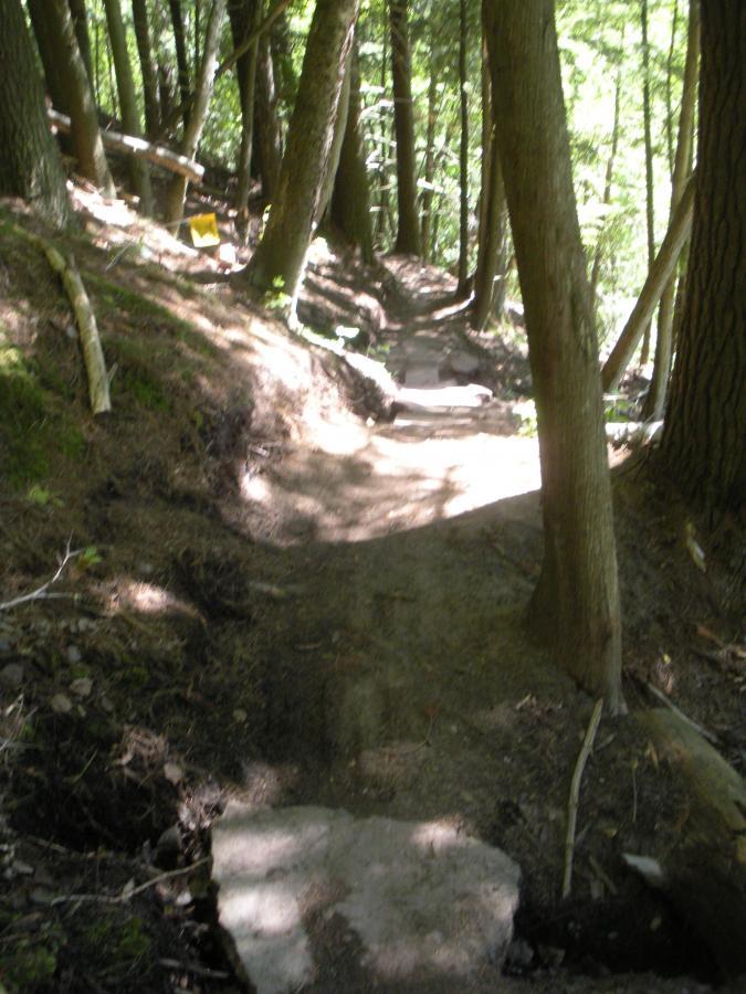A winding dirt path through a lush, green forest, flanked by tall trees. The trail is uneven and features patches of exposed rock. A small wooden bench can be seen off to the left, accompanied by a yellow sign. Sunlight filters through the tree canopy, casting dappled shadows on the ground. Noquemanon Trails Network: South Marquette Trails mountain bike trail.