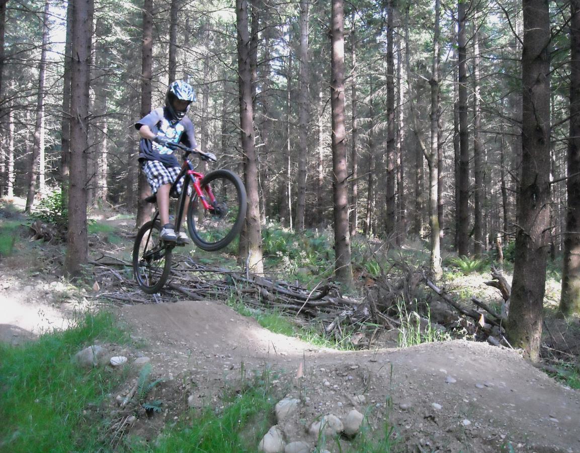 A young person riding a mountain bike in a forest, performing a jump over a small dirt ramp. The scene is surrounded by tall trees and patches of greenery, showcasing a natural outdoor setting. Lake Sawyer mountain bike trail.