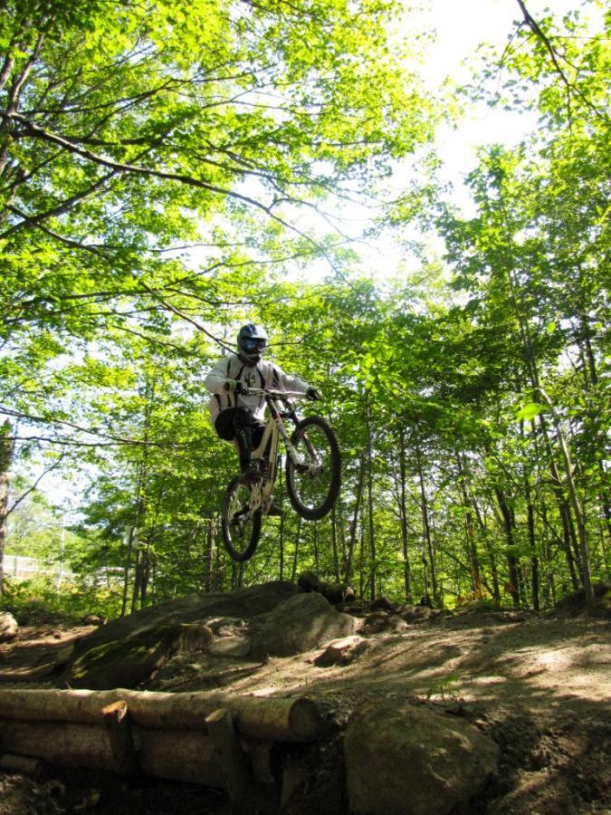 A mountain biker jumps over a rocky terrain in a lush forest, surrounded by green trees and sunlight filtering through the leaves. The rider is wearing a helmet and protective gear. Horseshoe Valley Resort mountain bike trail.