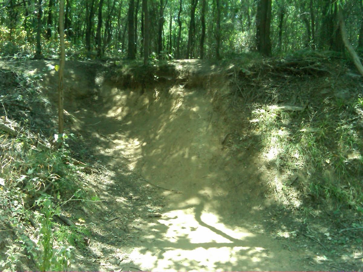 A tree-lined dirt path winding through a wooded area, featuring a shallow, sloped ditch on one side. Sunlight filters through the leaves, casting shadows on the ground and highlighting the natural contours of the terrain. Northshore Trail mountain bike trail.