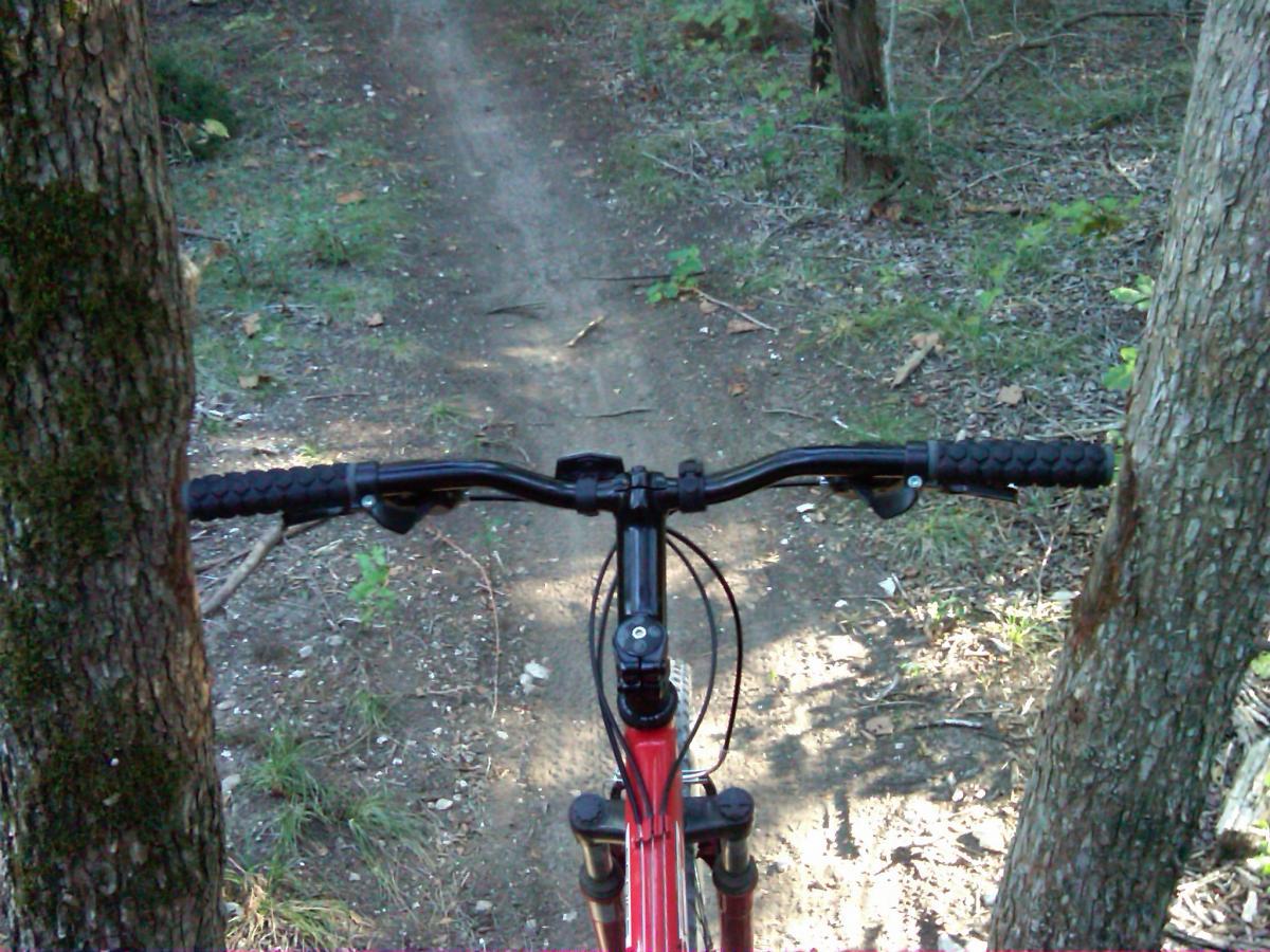 A mountain bike viewed from above, with the handlebars in focus and tree trunks on either side. A dirt path winds through a forest in the background, surrounded by greenery and natural scenery. Big Cedar Wilderness Trails mountain bike trail.