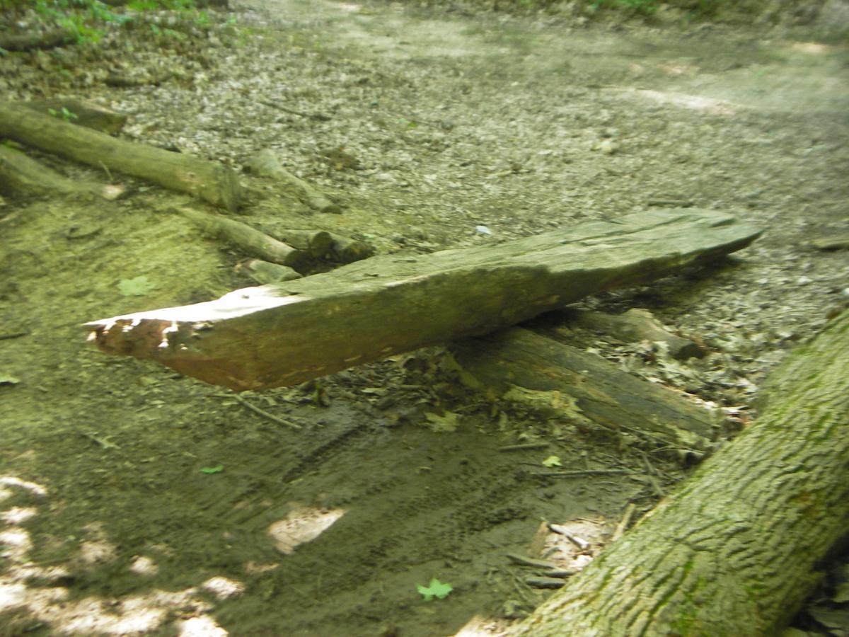 A wooden plank resting on top of a larger piece of wood, surrounded by a forest floor with leaves and dirt. The image captures a natural setting with scattered branches and greenery in the background. Kickapoo mountain bike trail.