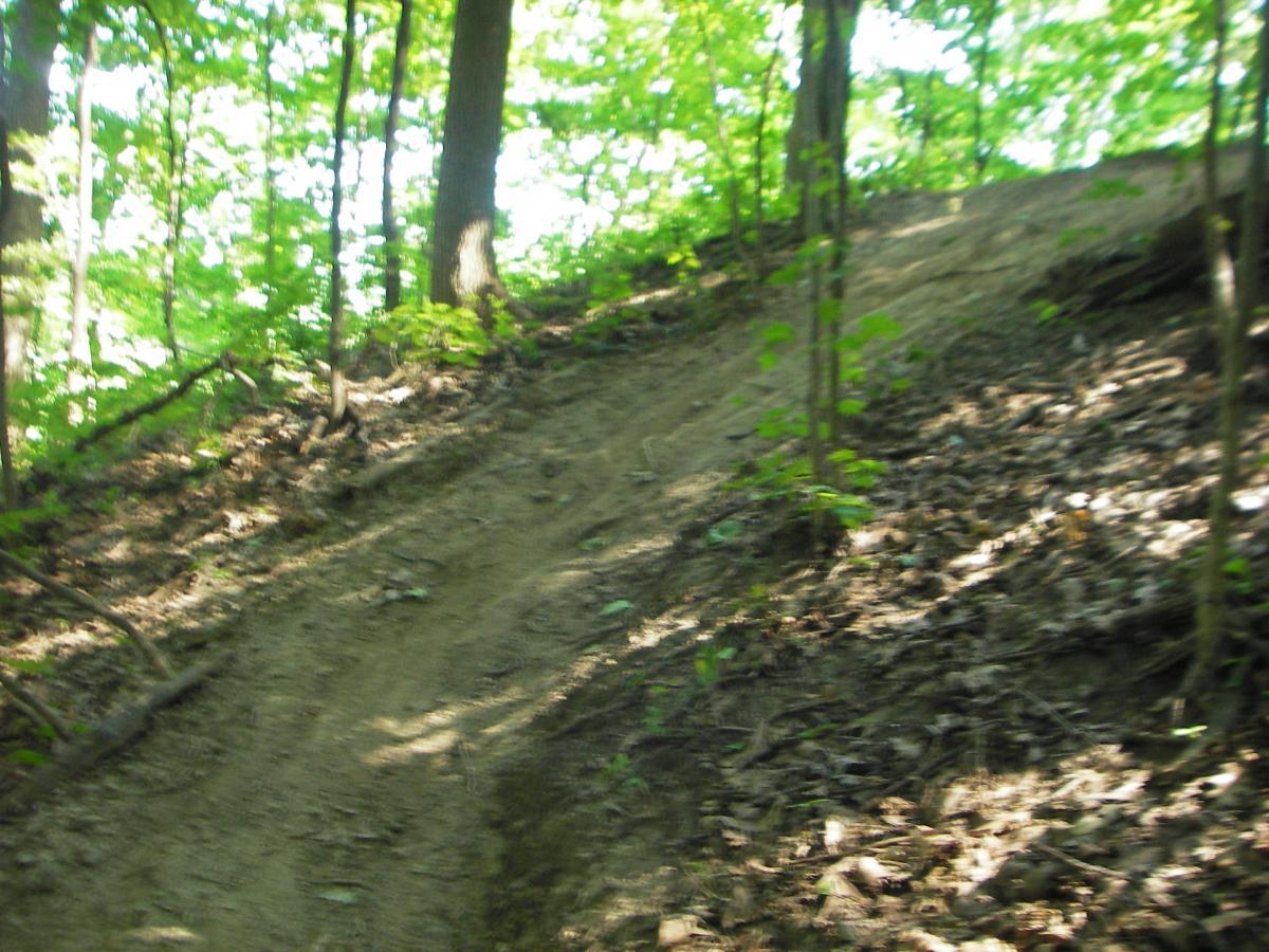 A dirt trail winding up a slope in a forest, surrounded by green trees and foliage. The ground is covered with leaves and natural debris, indicating a wooded area. Soft sunlight filters through the leaves, creating a dappled light effect on the trail. Kickapoo mountain bike trail.