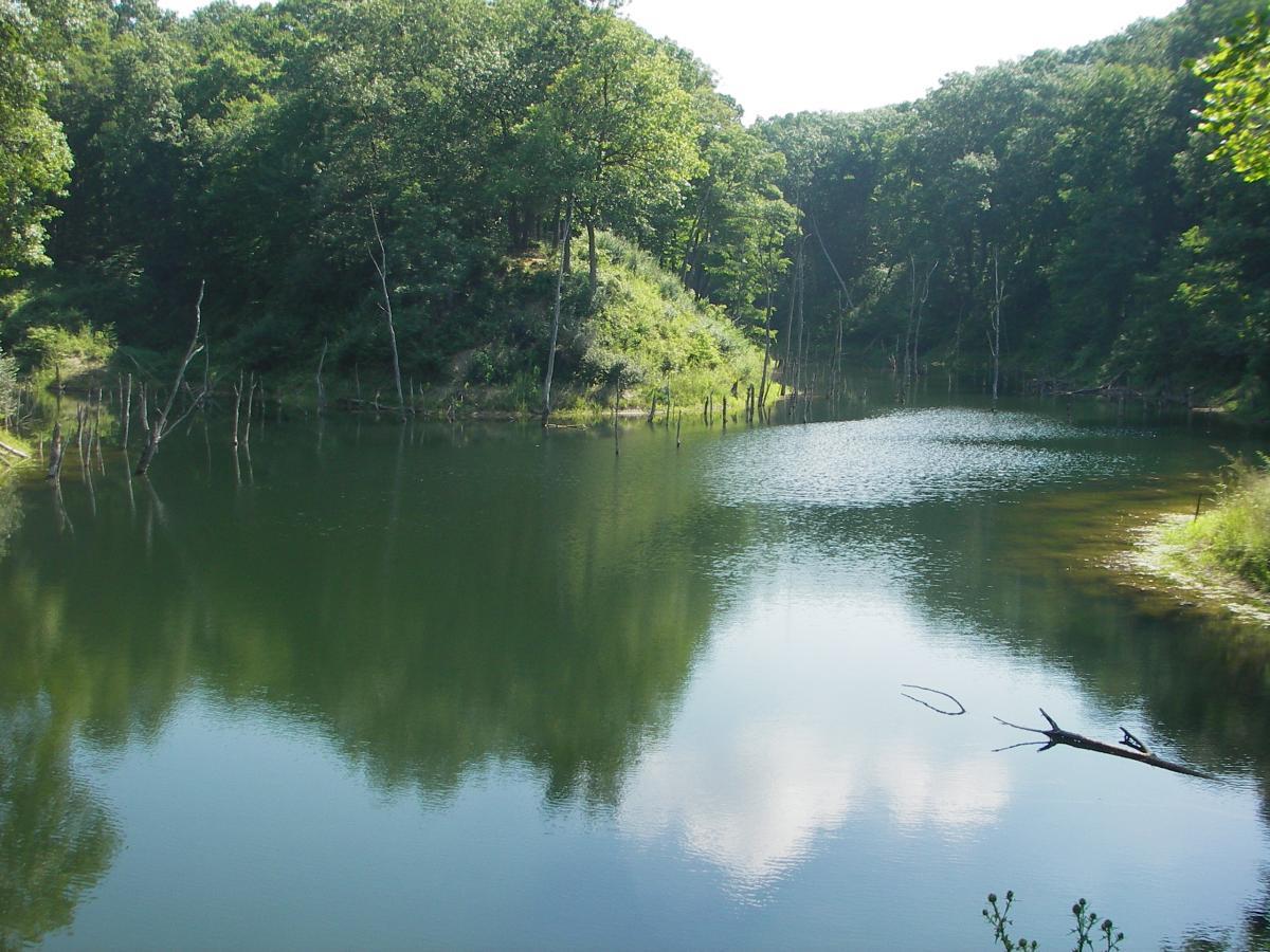 A serene lake surrounded by lush greenery, with reflections of trees on the calm water surface. The scene includes remnants of tree trunks emerging from the water, adding to the natural beauty of the landscape. Bright sunlight filters through the leaves, creating a peaceful and tranquil atmosphere. Kickapoo mountain bike trail.