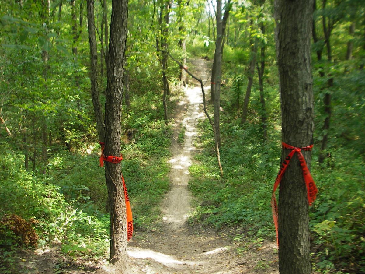 A wooded path lined with green foliage, with two trees on either side marked by bright orange warning tape. The trail appears narrow and winding, leading up a slight incline. Outback Trail at Imagination Glenn mountain bike trail.