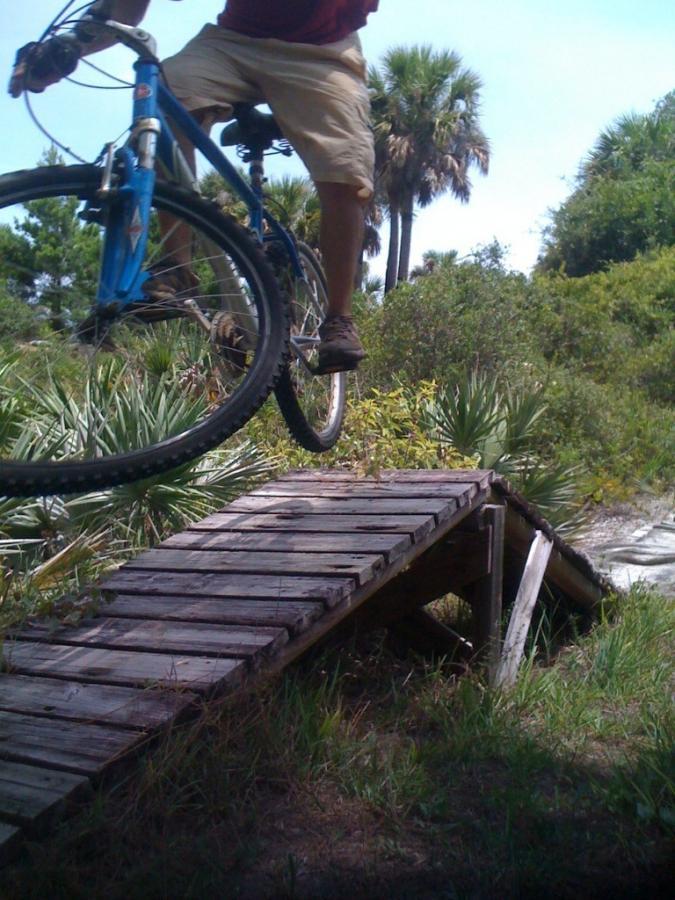 A cyclist in motion jumps off a wooden ramp on a mountain bike, surrounded by lush greenery and palm trees. The bike is airborne, emphasizing an action-packed moment in a natural outdoor setting. Jonathan Dickinson State Park mountain bike trail.