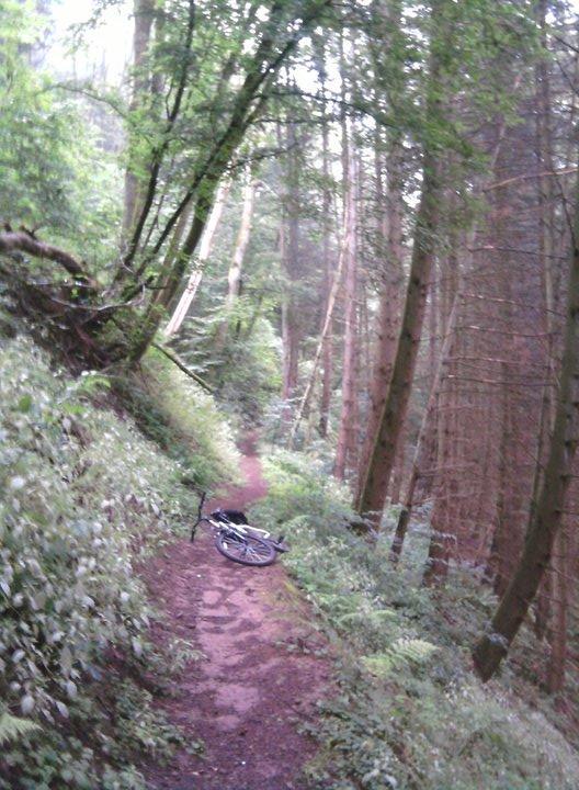 A narrow dirt trail lined with lush green foliage and tall trees in a misty forest. A black bicycle is lying on its side on the trail, suggesting a recent stop or incident. Spangdahlem-kyllburg mountain bike trail.