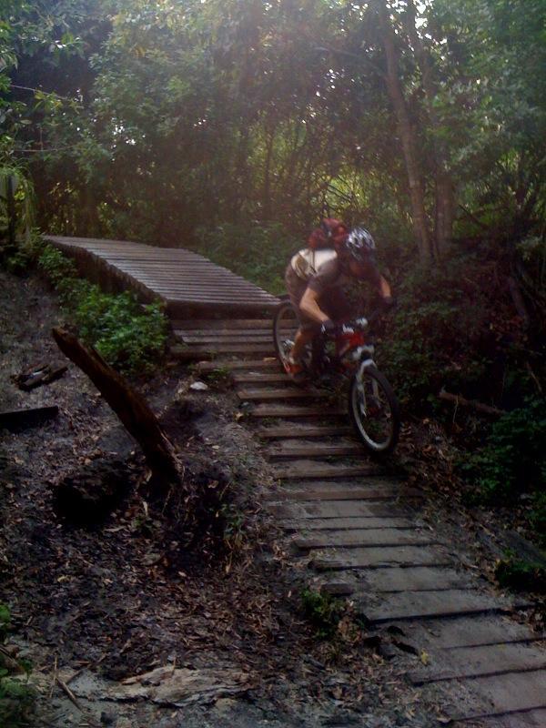 A mountain biker navigates a wooden trail bridge surrounded by dense greenery. The cyclist is leaning forward, demonstrating speed and focus as they ride over the bridge, which is elevated above the uneven terrain. Sunlight filters through the trees, illuminating the scene. Markham Park mountain bike trail.