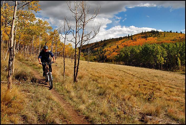 A mountain biker riding along a dirt trail surrounded by trees, with a backdrop of a colorful autumn landscape featuring orange and yellow foliage on rolling hills under a partly cloudy sky. Sheep Creek mountain bike trail.