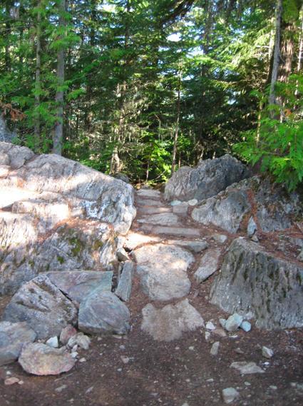 A narrow, rocky path winds through a dense forest, flanked by large boulders and greenery. Sunlight filters through the trees, casting dappled shadows on the ground. The path appears to lead deeper into the woods. Cut Yer Bars mountain bike trail.