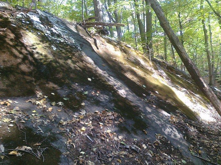 A moss-covered rock face in a wooded area, surrounded by trees and fallen leaves, with dappled sunlight filtering through the foliage. Blue Mountain Reservation mountain bike trail.