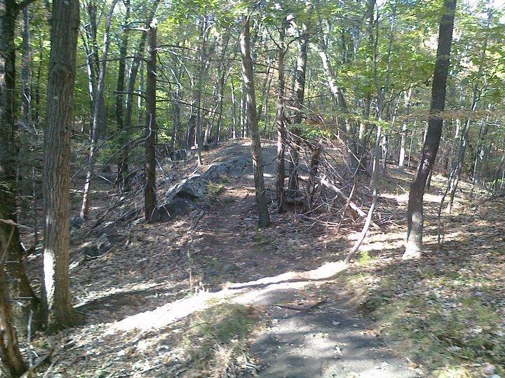 A winding dirt path surrounded by trees in a forest, with patches of sunlight filtering through the foliage. The ground is covered in dried leaves, and some large rocks are visible along the trail. Blue Mountain Reservation mountain bike trail.