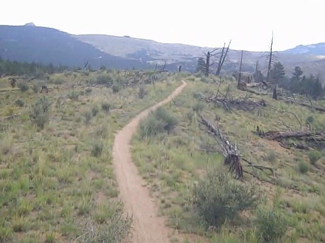 A winding dirt path traverses a grassy landscape, bordered by sparse vegetation and scattered tree stumps. In the background, rolling hills extend under a cloudy sky. The scene depicts a serene, natural environment suitable for hiking or outdoor activities. Buffalo Creek mountain bike trail.