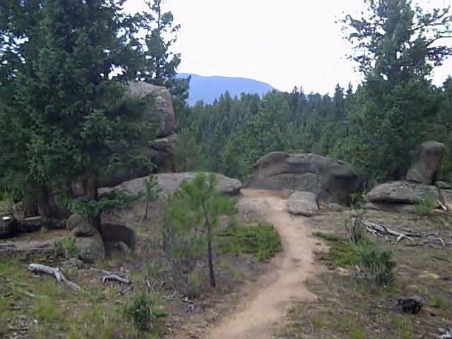 A dirt path winding through a forest of pine trees, with large boulders on either side and mountains visible in the background under a cloudy sky. Buffalo Creek mountain bike trail.