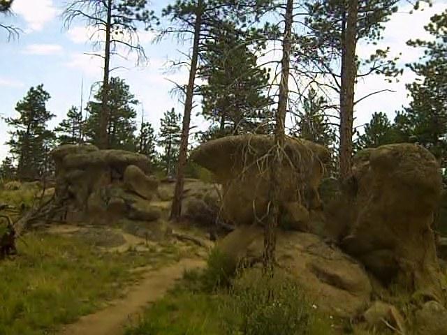 A rocky landscape featuring large boulders surrounded by tall pine trees, with a dirt path winding through the scene under a partly cloudy sky. Buffalo Creek mountain bike trail.
