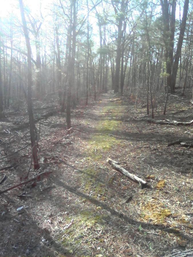 Ozark Trail South Trace Mountain Bike Trail in Potosi, Missouri