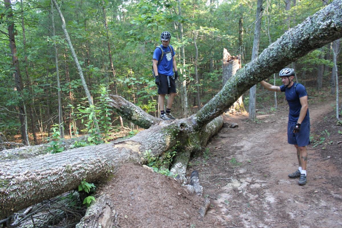 Two mountain bikers standing near a downed tree on a forest trail. One biker is balancing on top of the log, while the other is leaning against it. Surrounding them are lush green trees and vegetation, indicating a natural outdoor setting. Burrell Cove mountain bike trail.