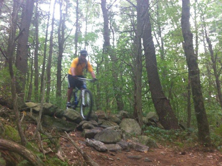 A mountain biker in a yellow shirt rides over a rocky section of a trail surrounded by lush green trees, showcasing an adventurous moment in a forested area. Landlocked Forest mountain bike trail.