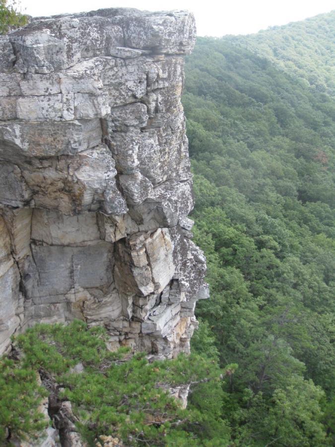 A rocky cliff edge overlooking a lush green forest, with layers of stone visible at the top and side of the cliff. The scene captures the natural beauty and elevation, giving a sense of height and wilderness. North Fork Mountain Trail mountain bike trail.