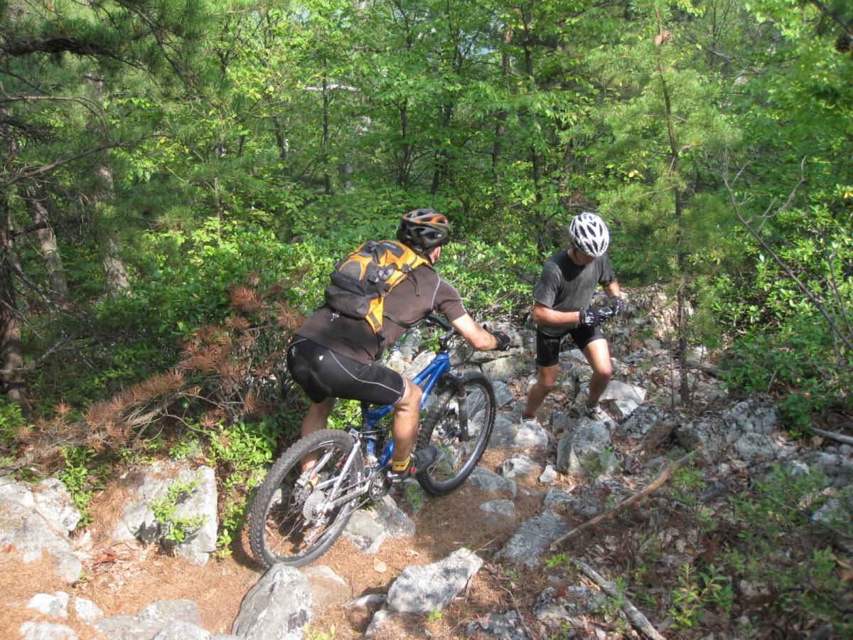 Two mountain bikers navigate a rocky trail in a lush green forest. One biker is riding a blue mountain bike, while the other is walking beside him. They are dressed in athletic gear and helmets, surrounded by trees and rocks, showcasing an outdoor adventure scene. North Fork Mountain Trail mountain bike trail.