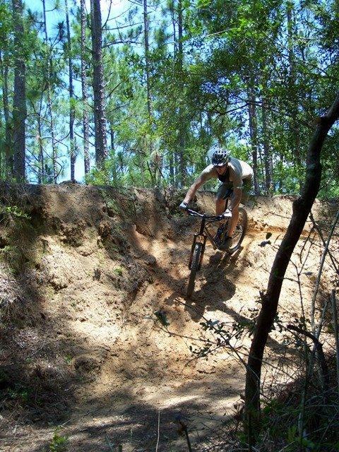 A mountain biker navigating a dirt trail, leaning into a curve, surrounded by tall trees and greenery under a bright blue sky. Games Loop mountain bike trail.