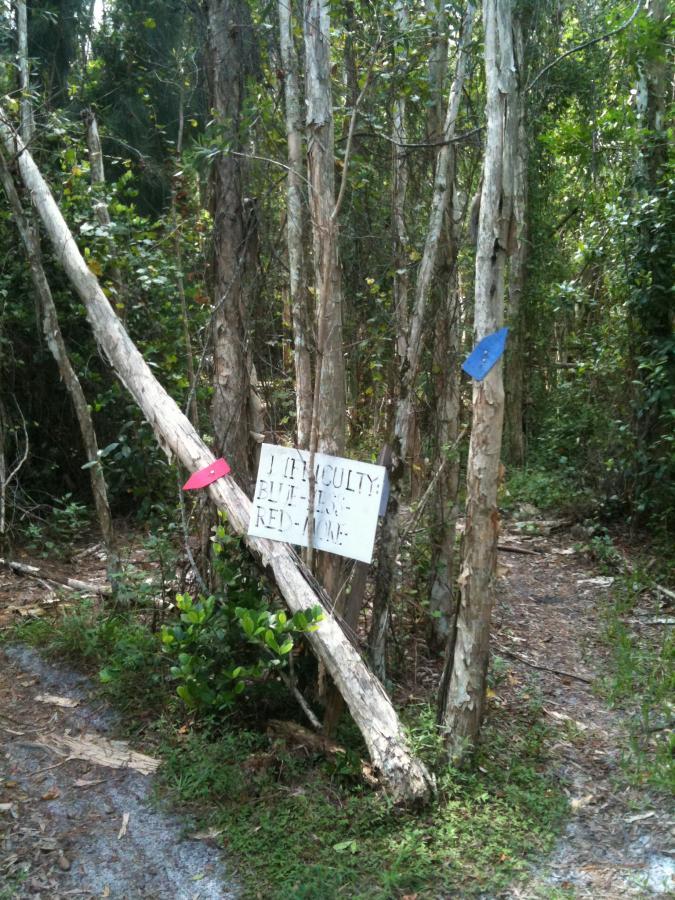 A wooded area with tall trees and underbrush, featuring a sign that reads "I'M A DIFFICULT BUT FUN RED LINE" attached to a fallen tree trunk. Two colored markers (pink and blue) are visible on nearby trees, indicating a trail or path. Okeeheelee Park / Pinehurst / Green Acres Freedom Park mountain bike trail.