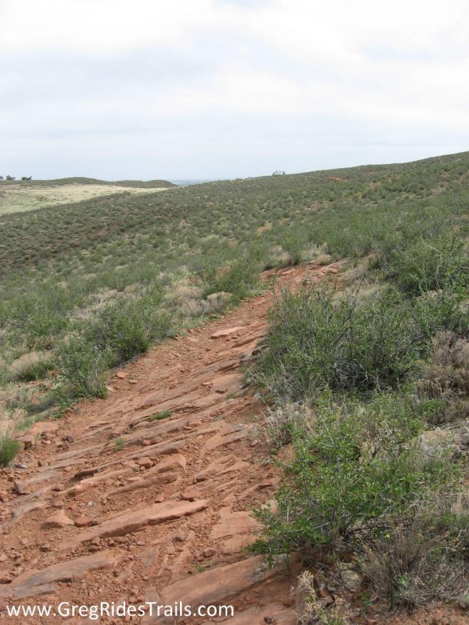 A winding dirt trail leads through a green, hilly landscape, framed by shrubs and grass, under a cloudy sky. The path is rocky and uneven, suggesting a rugged outdoor environment ideal for hiking. Devil's Backbone mountain bike trail.