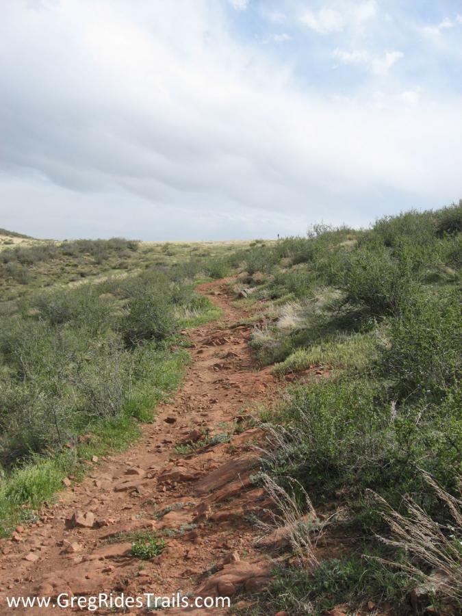 A winding dirt trail cuts through a green landscape with scattered shrubs and rocky terrain under a cloudy sky. The path leads toward a distant hill, suggesting a natural outdoor environment ideal for hiking or biking. Devil's Backbone mountain bike trail.