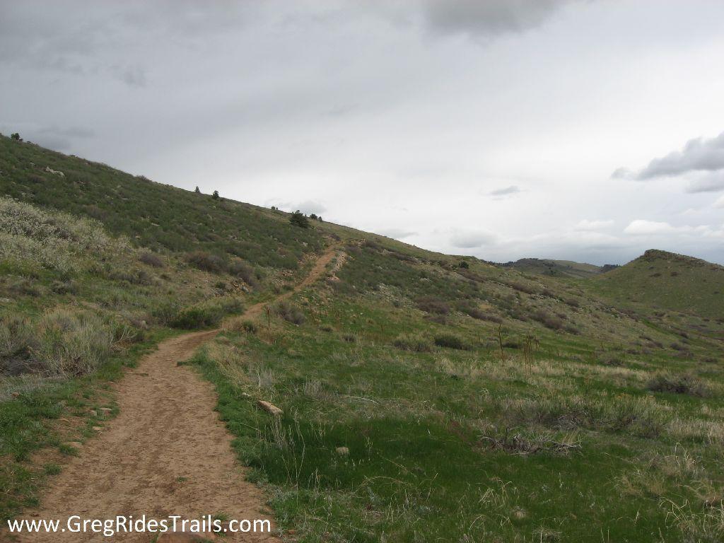 A winding dirt trail leads up a grassy hillside under a cloudy sky, surrounded by lush greenery and shrubs. The landscape features rolling hills and a muted color palette, creating a calm and natural atmosphere. Coyote Ridge mountain bike trail.