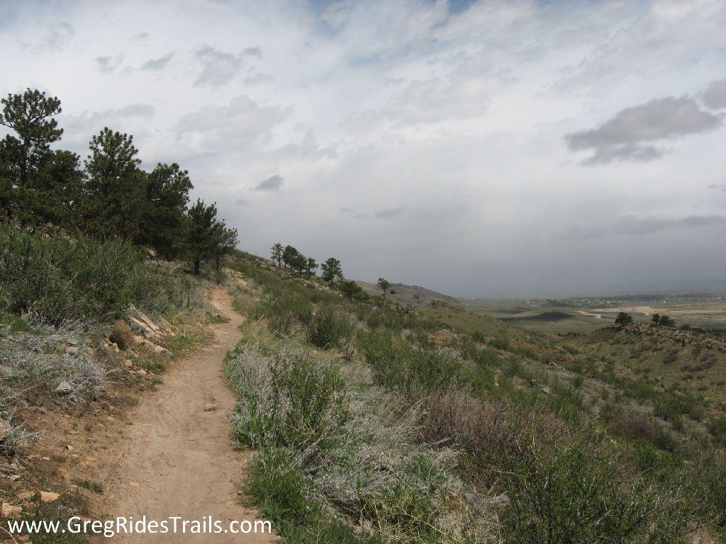 A winding dirt trail leading through a grassy hillside, bordered by patches of shrubs and small trees. The sky overhead is mostly cloudy, suggesting an overcast day. In the distance, gentle hills and valleys can be seen, creating a peaceful and natural landscape. Coyote Ridge mountain bike trail.