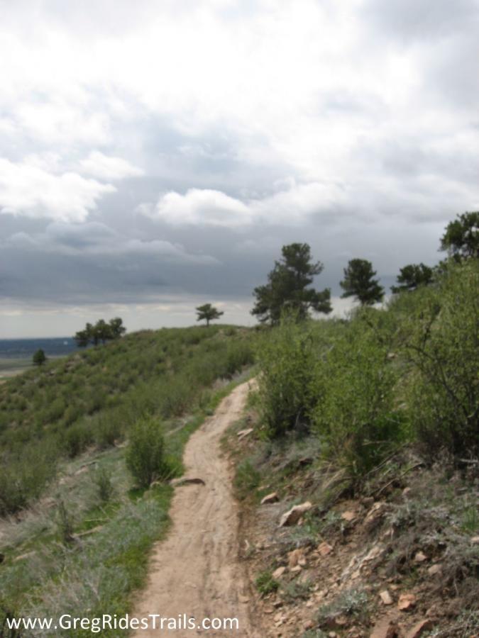 A dirt trail winding through a grassy hillside, with sparse bushes and trees on either side. The sky is overcast with gray clouds, creating a moody atmosphere. The path leads towards the horizon, offering a scenic view of the landscape. Coyote Ridge mountain bike trail.