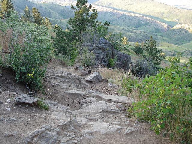 A rocky hiking trail leading down a slope, surrounded by shrubs and trees, with distant hills visible in the background under a clear sky. White Ranch mountain bike trail.