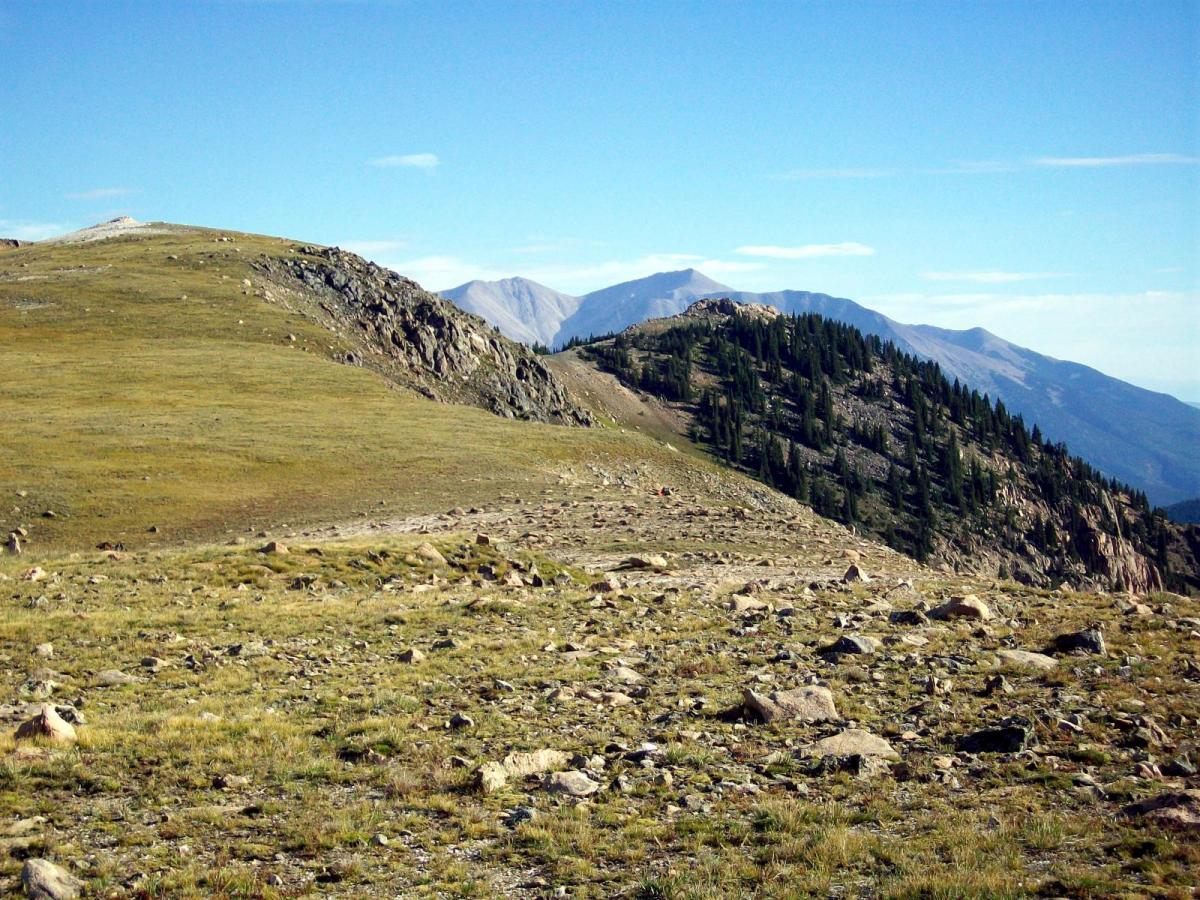 A panoramic view of a mountainous landscape featuring rolling hills and rocky terrain under a clear blue sky. The foreground includes grasses and scattered rocks, while the background showcases a range of peaks with patches of evergreen trees on one side. Monarch Crest Trail mountain bike trail.