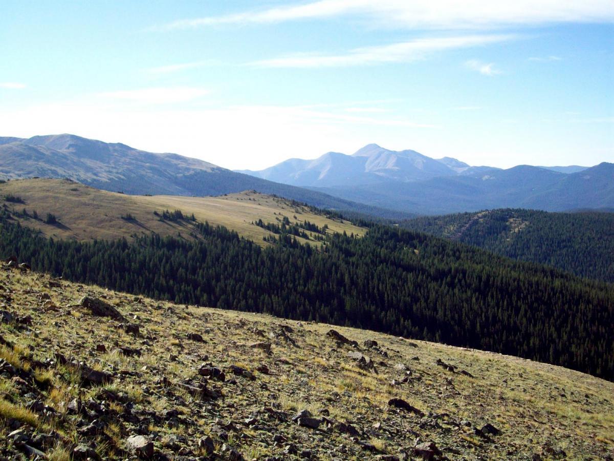 A panoramic view of rolling hills and distant mountains under a clear blue sky. The foreground features rocky terrain with patches of grass, while the midground showcases a dense forest of evergreen trees. The mountains in the background create a stunning natural landscape. Monarch Crest Trail mountain bike trail.